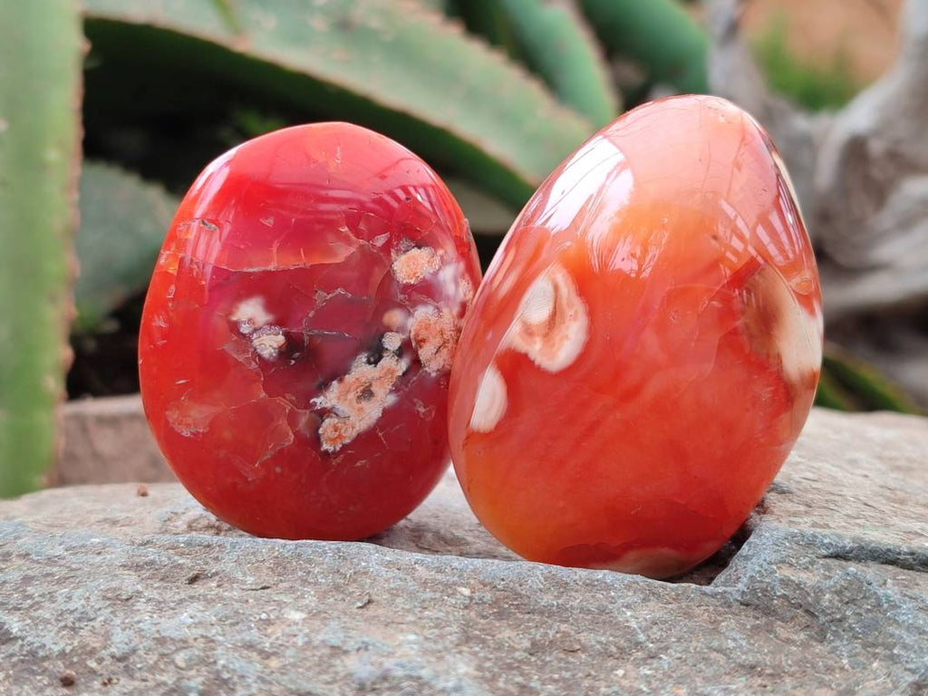 Polished Carnelian Agate Gemstone Galets x 20 From Madagascar - Toprock Gemstones and Minerals 