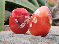 Polished Carnelian Agate Gemstone Galets x 20 From Madagascar