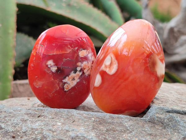 Polished Carnelian Agate Gemstone Galets x 20 From Madagascar