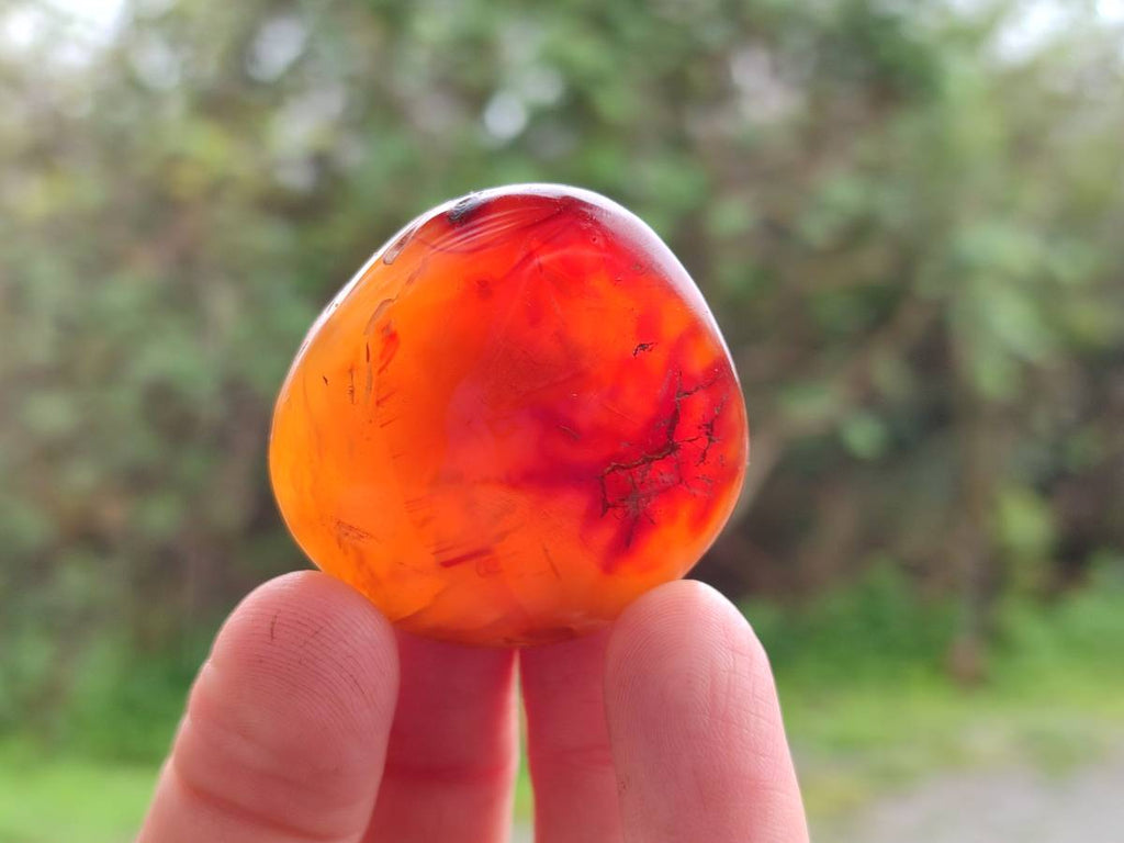 Polished Carnelian Agate Gemstone Galets x 20 From Madagascar - Toprock Gemstones and Minerals 