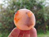 Polished Carnelian Agate Gemstone Galets x 20 From Madagascar