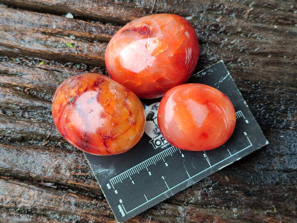 Polished Carnelian Agate Gemstone Galets x 20 From Madagascar - Toprock Gemstones and Minerals 