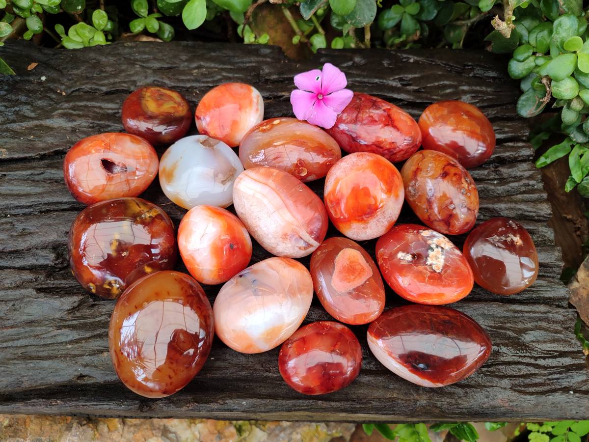 Polished Carnelian Agate Gemstone Galets x 20 From Madagascar - Toprock Gemstones and Minerals 