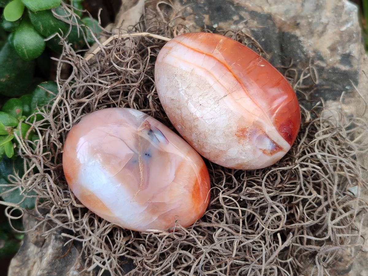 Polished Carnelian Agate Gemstone Galets x 20 From Madagascar - Toprock Gemstones and Minerals 