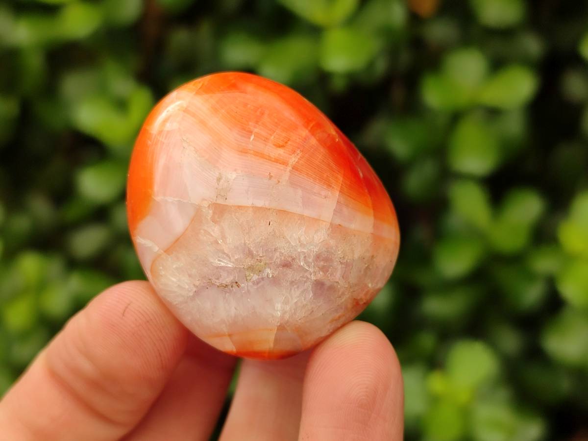 Polished Carnelian Agate Gemstone Galets x 20 From Madagascar - Toprock Gemstones and Minerals 