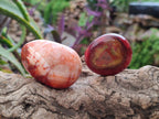 Polished Carnelian Agate Gemstone Galets x 20 From Madagascar - Toprock Gemstones and Minerals 