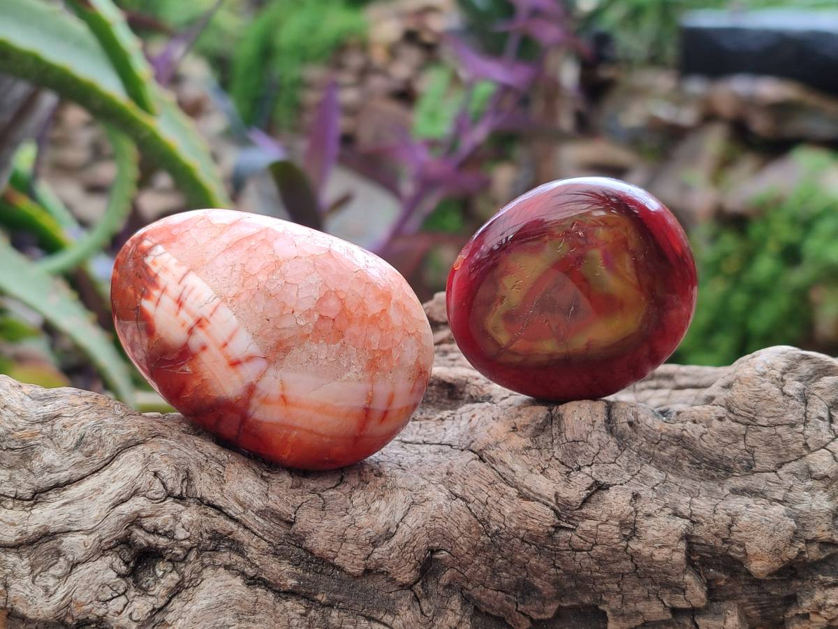 Polished Carnelian Agate Gemstone Galets x 20 From Madagascar - Toprock Gemstones and Minerals 