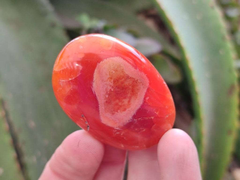 Polished Carnelian Agate Gemstone Galets x 20 From Madagascar - Toprock Gemstones and Minerals 