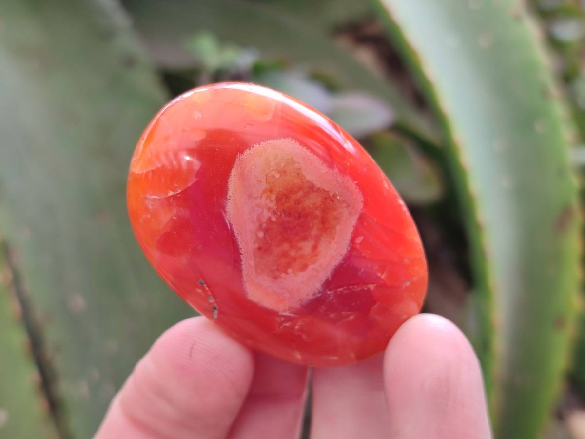 Polished Carnelian Agate Gemstone Galets x 20 From Madagascar - Toprock Gemstones and Minerals 