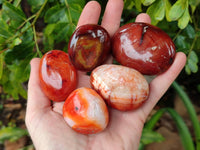 Polished Carnelian Agate Gemstone Galets x 20 From Madagascar