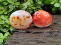 Polished Carnelian Agate Gemstone Galets x 20 From Madagascar