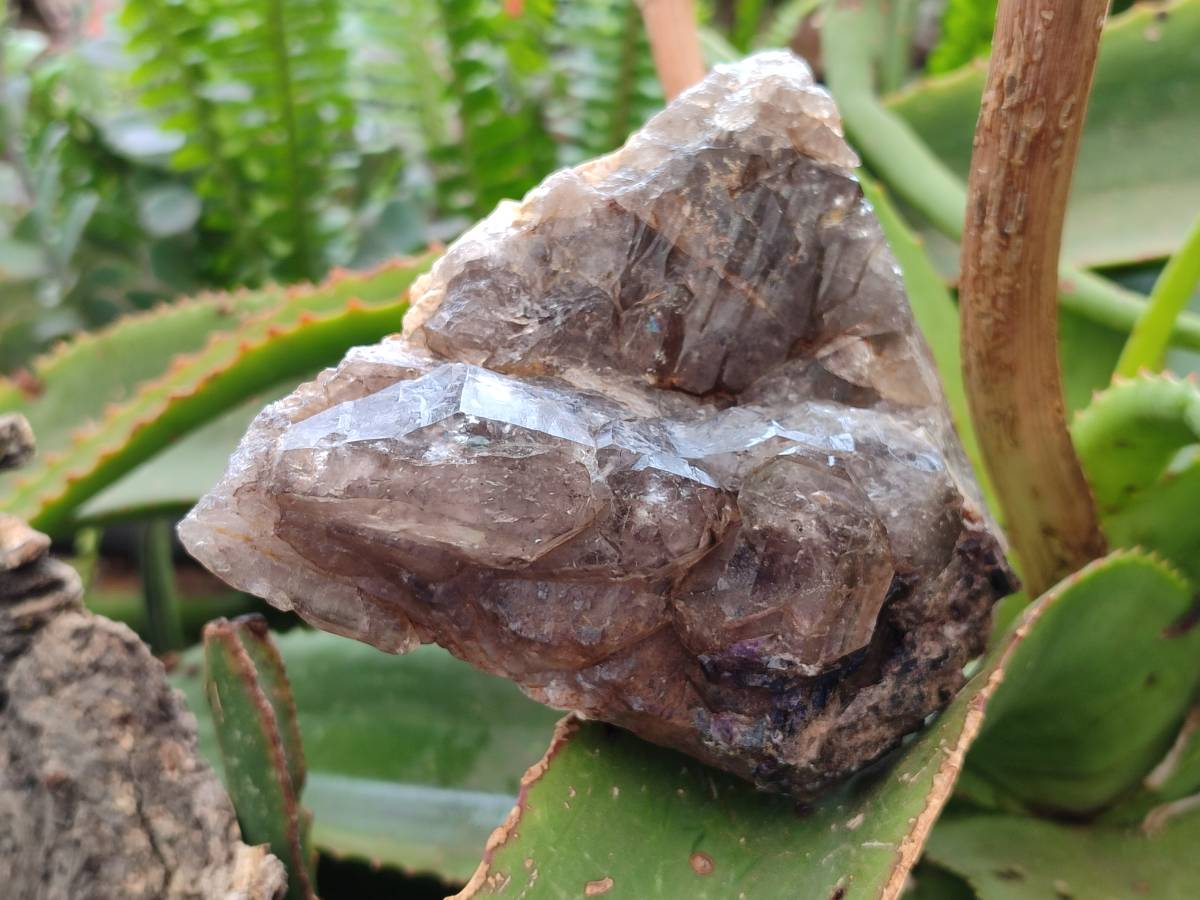 Natural Multi Mineral Specimens x 3 From Southern Africa - Toprock Gemstones and Minerals 