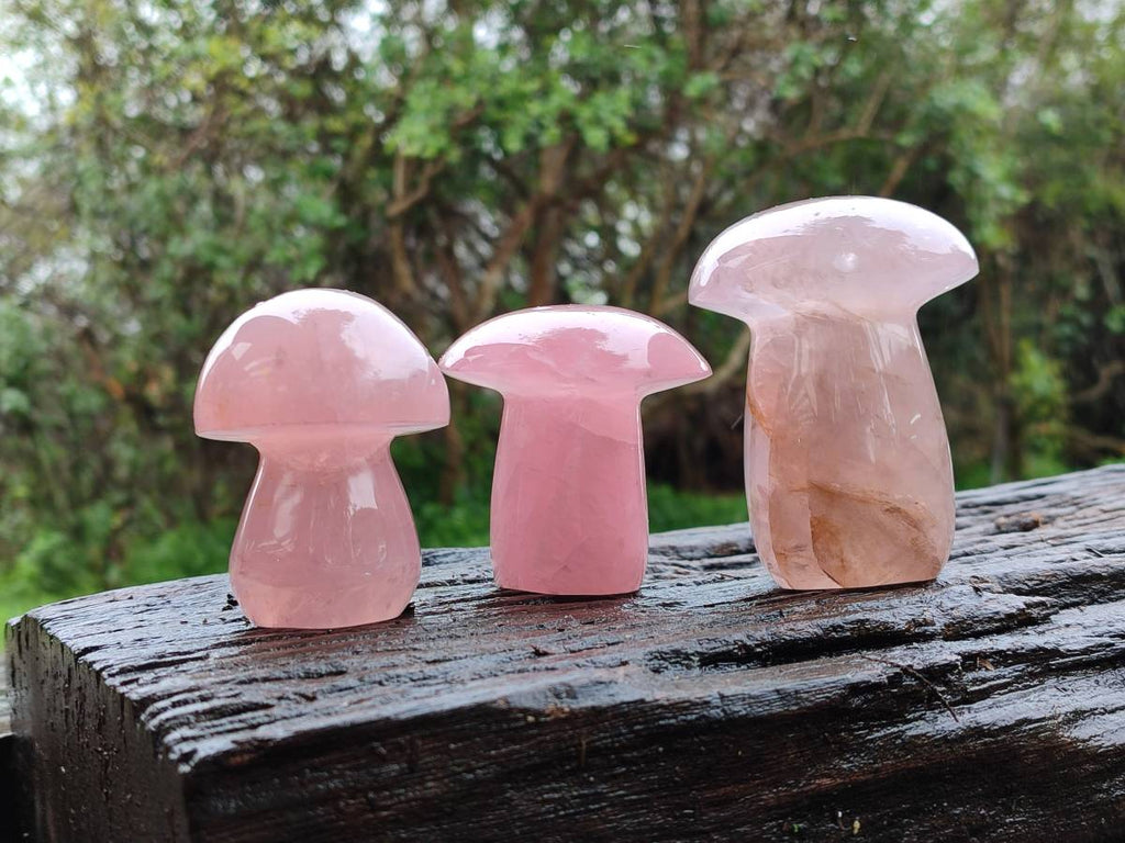 Polished Rose Quartz Mushrooms x 6 From Madagascar - Toprock Gemstones and Minerals 