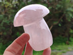 Polished Rose Quartz Mushrooms x 6 From Madagascar - Toprock Gemstones and Minerals 