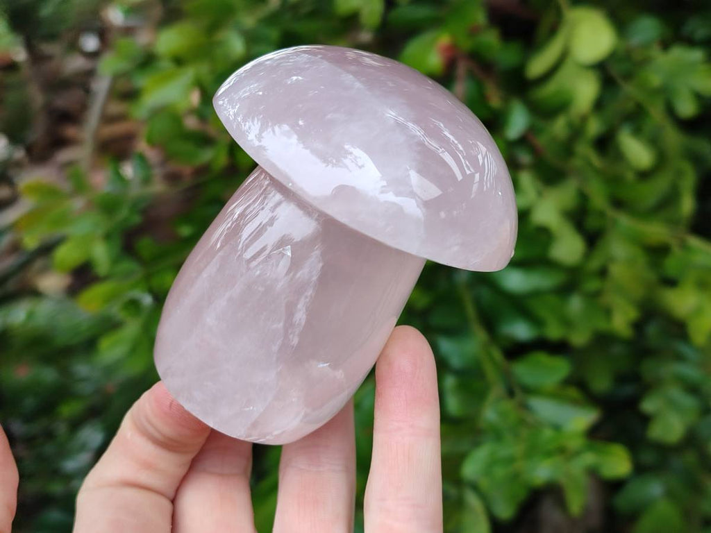 Polished Rose Quartz Mushrooms x 6 From Madagascar - Toprock Gemstones and Minerals 