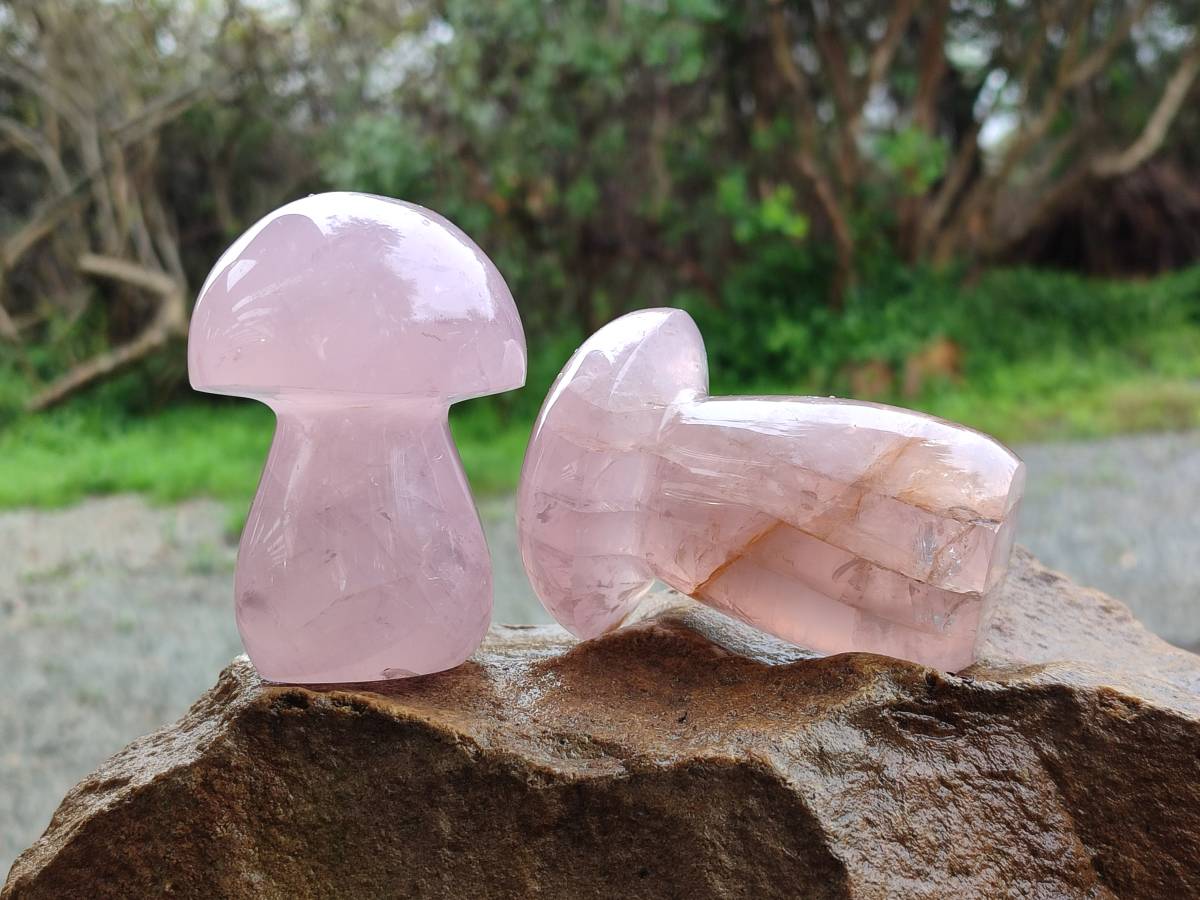 Polished Rose Quartz Mushrooms x 6 From Madagascar - Toprock Gemstones and Minerals 