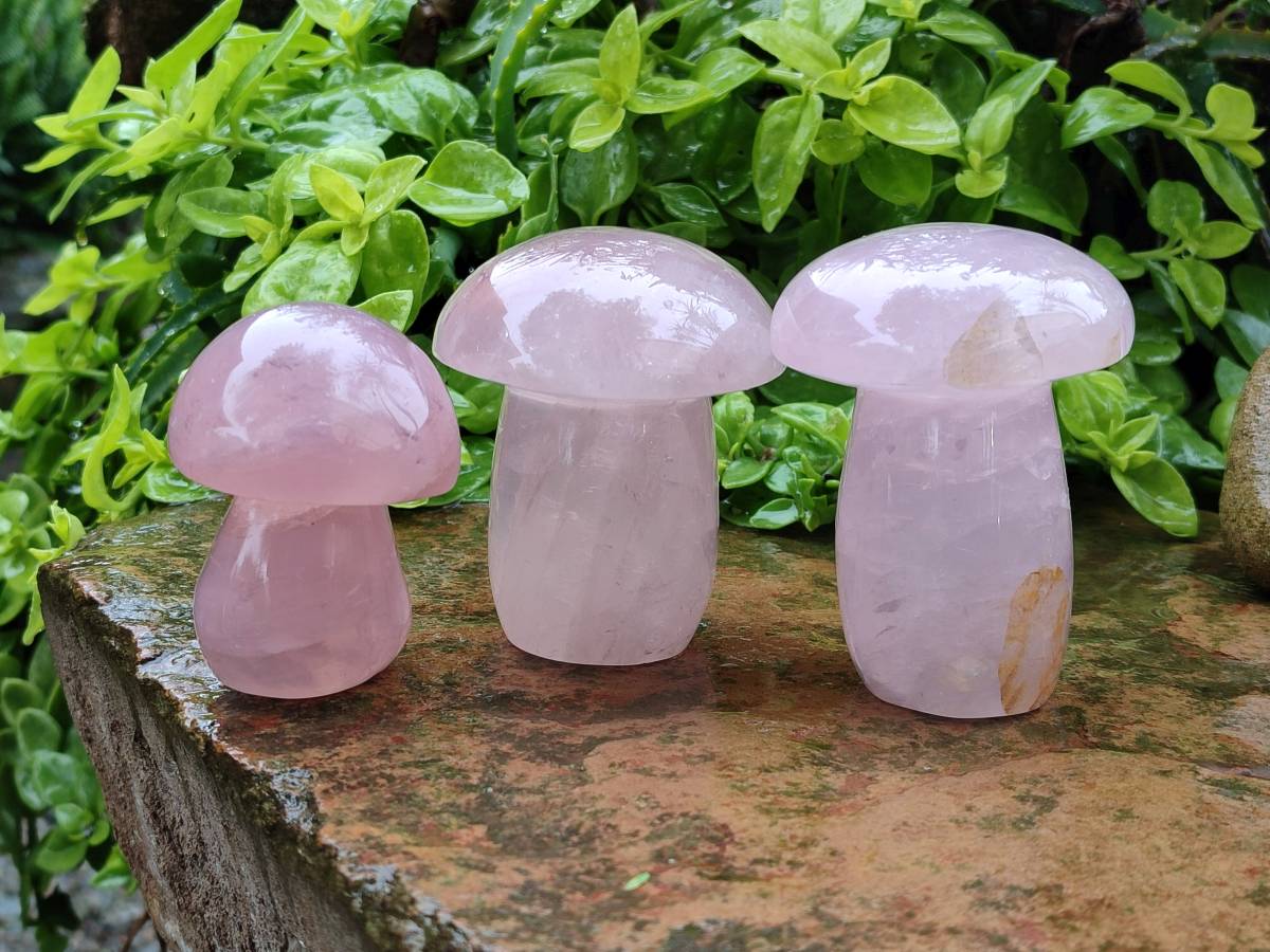 Polished Rose Quartz Mushrooms x 6 From Madagascar - Toprock Gemstones and Minerals 