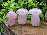 Polished Rose Quartz Mushrooms x 6 From Madagascar