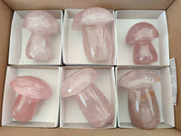 Polished Rose Quartz Mushrooms x 6 From Madagascar