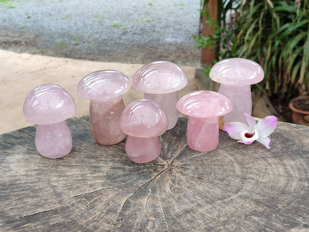 Polished Rose Quartz Mushrooms x 6 From Madagascar - Toprock Gemstones and Minerals 