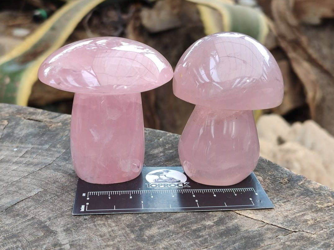 Polished Rose Quartz Mushrooms x 6 From Madagascar - Toprock Gemstones and Minerals 