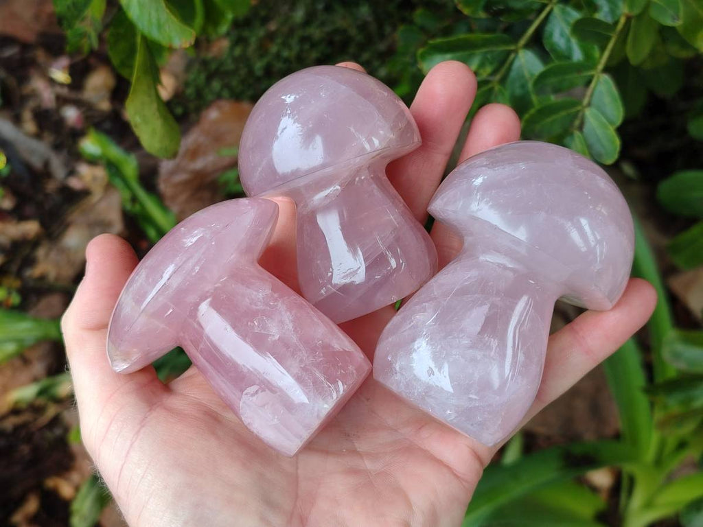 Polished Rose Quartz Mushrooms x 6 From Madagascar - Toprock Gemstones and Minerals 