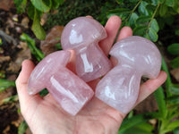 Polished Rose Quartz Mushrooms x 6 From Madagascar