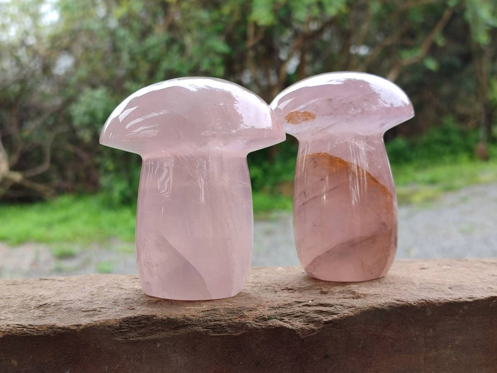 Polished Rose Quartz Mushrooms x 6 From Madagascar - Toprock Gemstones and Minerals 