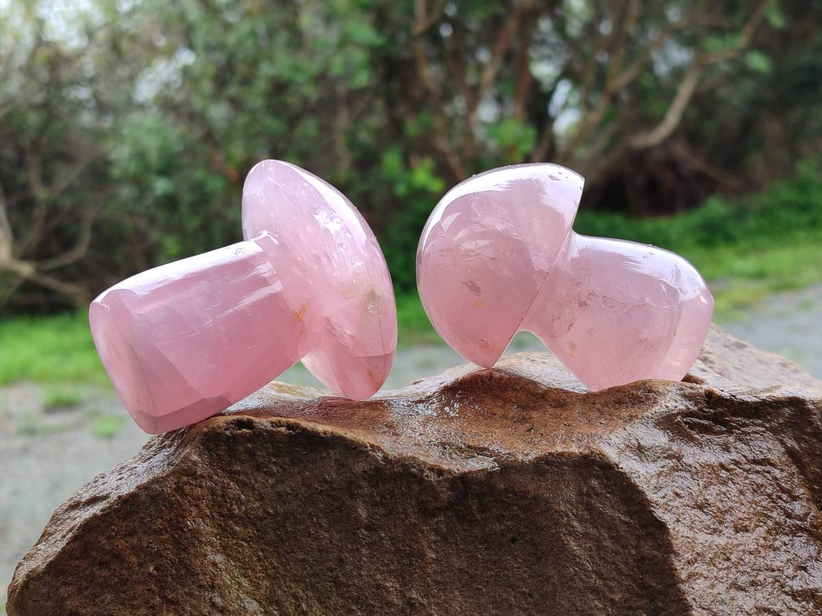 Polished Rose Quartz Mushrooms x 6 From Madagascar - Toprock Gemstones and Minerals 