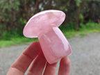Polished Rose Quartz Mushrooms x 6 From Madagascar - Toprock Gemstones and Minerals 