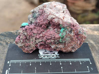 Natural Salrose Cobaltion Dolomite with Malachite Specimens x 6 From Kakanda, Congo