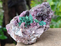 Natural Salrose Cobaltion Dolomite with Malachite Specimens x 6 From Kakanda, Congo