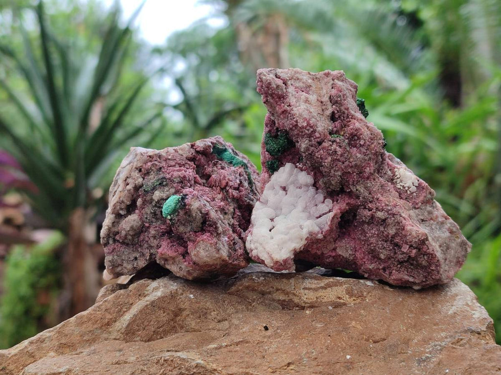 Natural Salrose Cobaltion Dolomite with Malachite Specimens x 6 From Kakanda, Congo - Toprock Gemstones and Minerals 