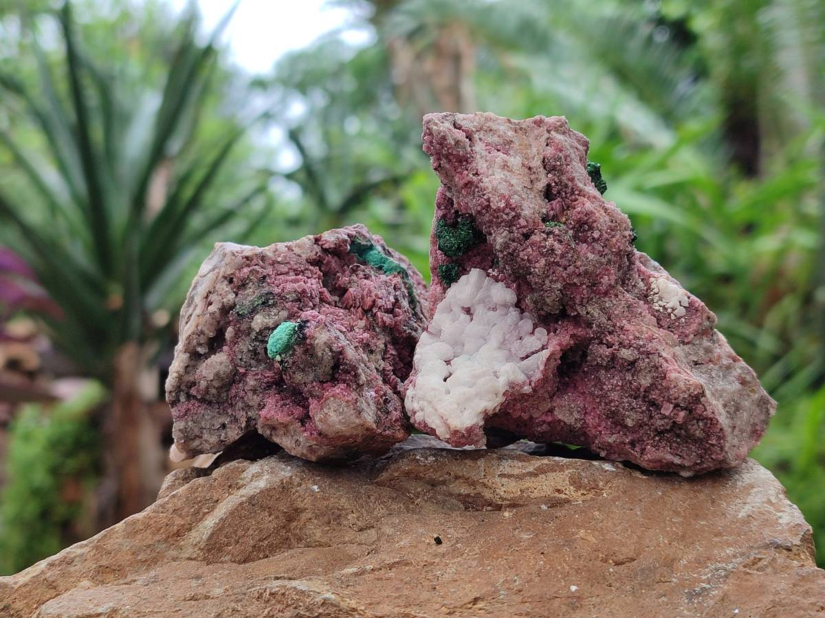 Natural Salrose Cobaltion Dolomite with Malachite Specimens x 6 From Kakanda, Congo - Toprock Gemstones and Minerals 