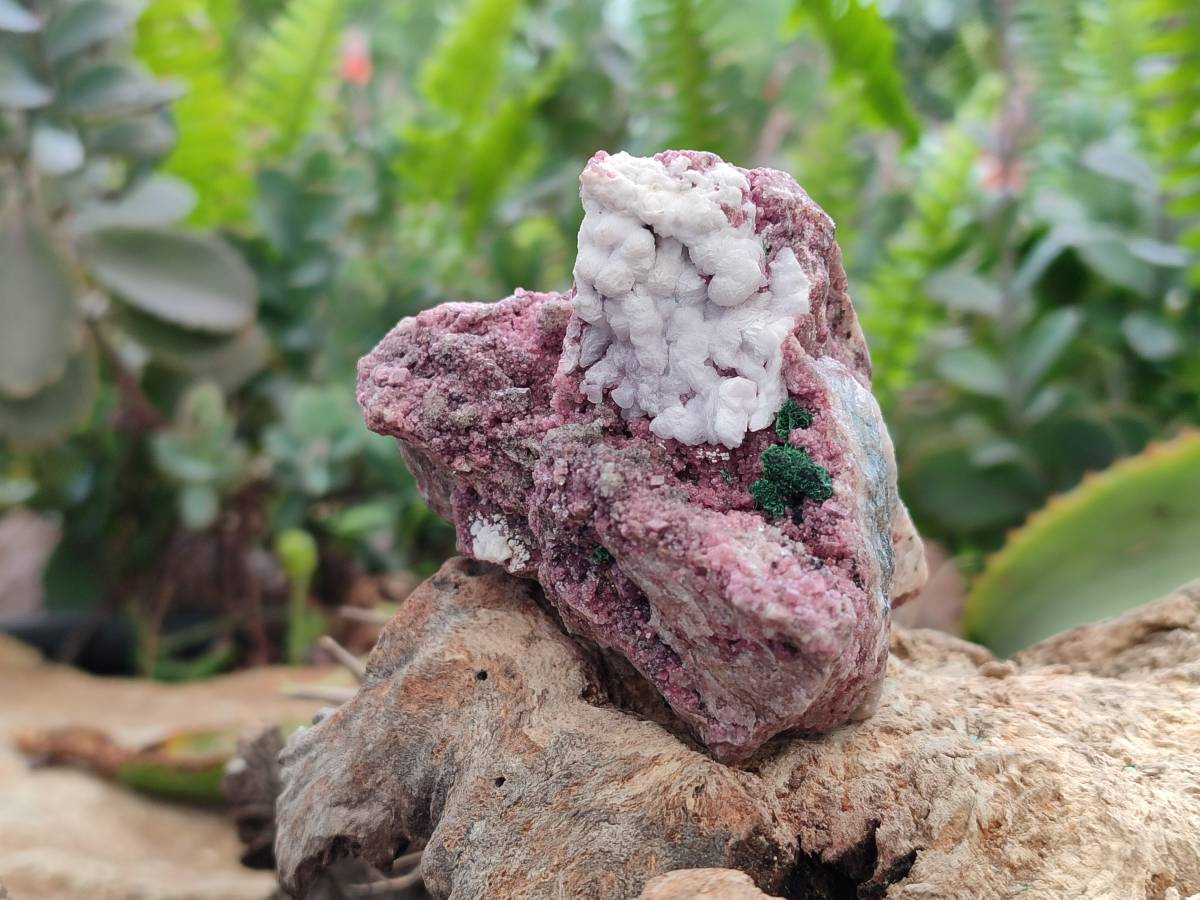 Natural Salrose Cobaltion Dolomite with Malachite Specimens x 6 From Kakanda, Congo - Toprock Gemstones and Minerals 