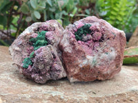 Natural Salrose Cobaltion Dolomite with Malachite Specimens x 6 From Kakanda, Congo