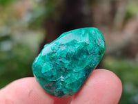 Polished Dioptase Free Forms x 35 From Likasi, Congo