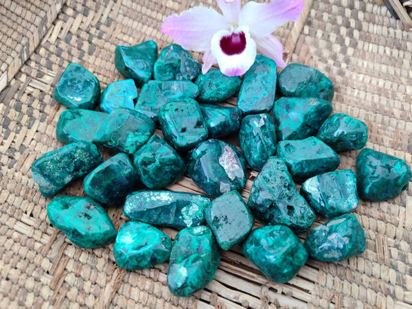 Polished Dioptase Free Forms x 35 From Likasi, Congo