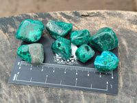 Polished Dioptase Free Forms x 35 From Likasi, Congo