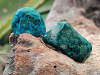 Polished Dioptase Free Forms x 35 From Likasi, Congo