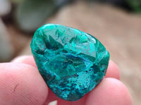 Polished Dioptase Free Forms x 35 From Likasi, Congo