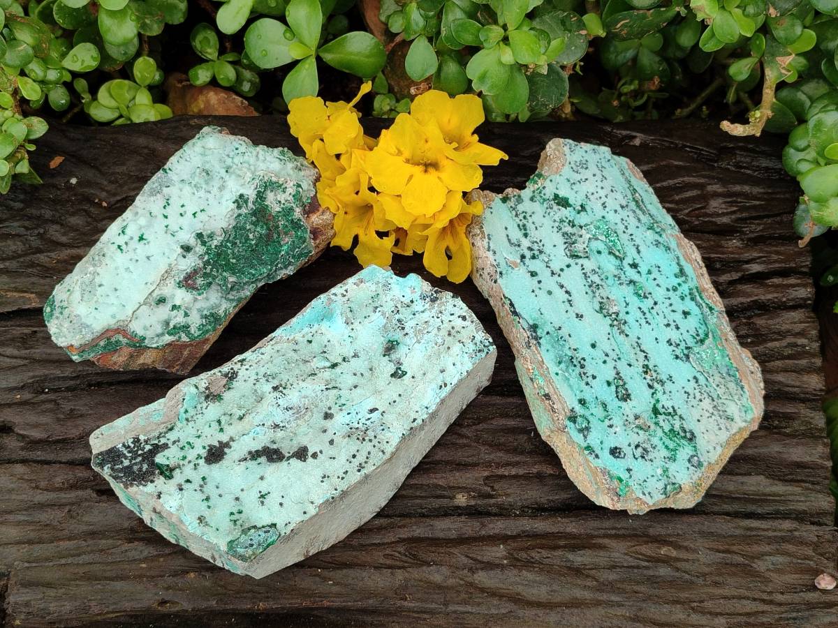 Natural Drusy Coated Chrysocolla Specimens x 3 From Likasi, Congo - Toprock Gemstones and Minerals 