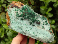 Natural Drusy Coated Chrysocolla Specimens x 3 From Likasi, Congo