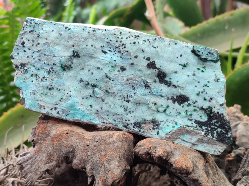 Natural Drusy Coated Chrysocolla Specimens x 3 From Likasi, Congo - Toprock Gemstones and Minerals 