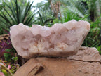 Natural Pale Lilac Spirit Quartz Cluster x 1 From Boekenhouthoek, South Africa - Toprock Gemstones and Minerals 