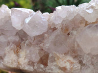 Natural Pale Lilac Spirit Quartz Cluster x 1 From Boekenhouthoek, South Africa