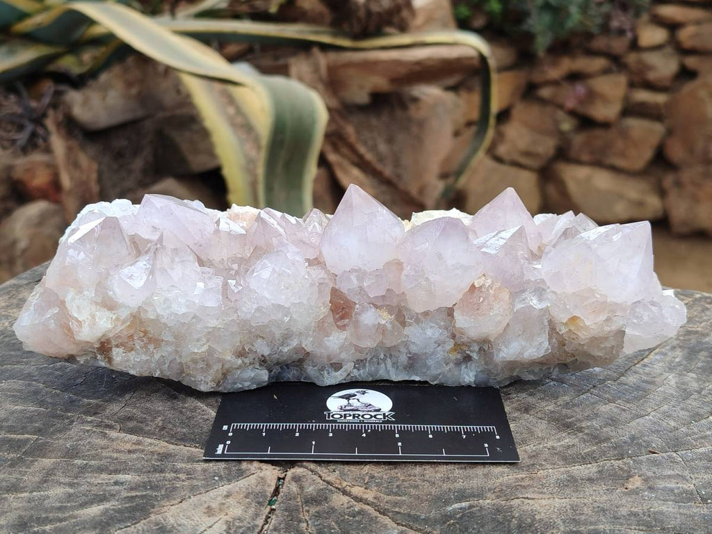 Natural Pale Lilac Spirit Quartz Cluster x 1 From Boekenhouthoek, South Africa - Toprock Gemstones and Minerals 