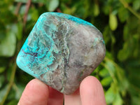 Polished Shattuckite Malachite and Bornite Free Forms x 6 From Kaokoveld, Namibia