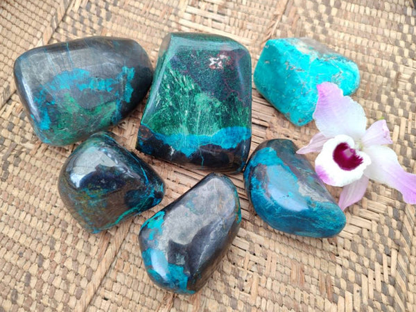 Polished Shattuckite Malachite and Bornite Free Forms x 6 From Kaokoveld, Namibia