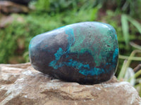 Polished Shattuckite Malachite and Bornite Free Forms x 6 From Kaokoveld, Namibia